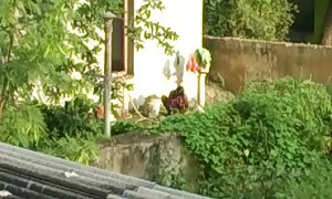 পেছন থেকে, ছোট মাই, মাই এর, অপেশাদার, হার্ডকোর বাংলা চুদা চুদী ভিডিও