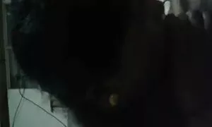 পুরানো, মাই ভিডিও বাংলা চুদা চুদি এর