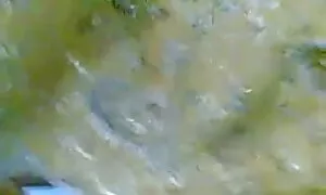 বাঁড়ার রস খাবার, ব্লজব, বাংলা চুদা চুদু বড়ো মাই
