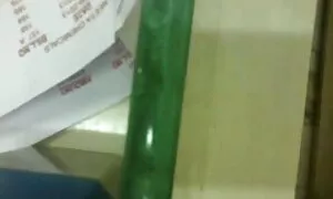 চিতাবাঘ, সুন্দরি সেক্সি মহিলার, মা, বাংলা চুদা চুদি দেখবো দুর্দশা,