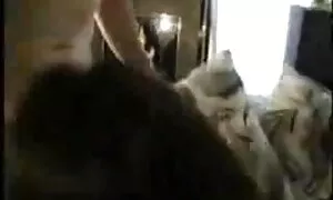 বাঁড়ার বাংলা চুদা চিদি রস খাবার, সুন্দরী বালিকা