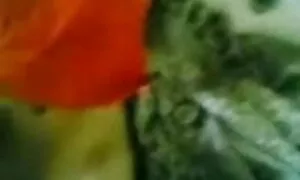 বড়ো বাংলা চুদা চুদি xxxx মাই, শ্যামাঙ্গিণী, ব্লজব