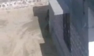 বড়ো বাংলা চুদা চুদও মাই, পরিণত, নিটোল