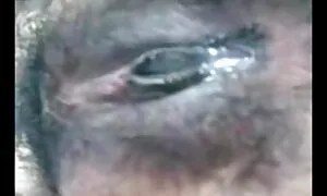 প্রচণ্ড উত্তেজনা বাংলা চুদা চুদি sex