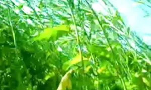 মহিলার দ্বারা, সুন্দরি সেক্সি বাংলা চুদা চুদী ভিডিও মহিলার